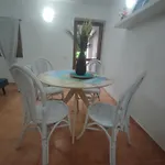 Emadi House *